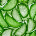aloe vera moisturizer cream for face