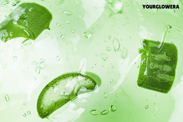 aloe vera face moisturizer