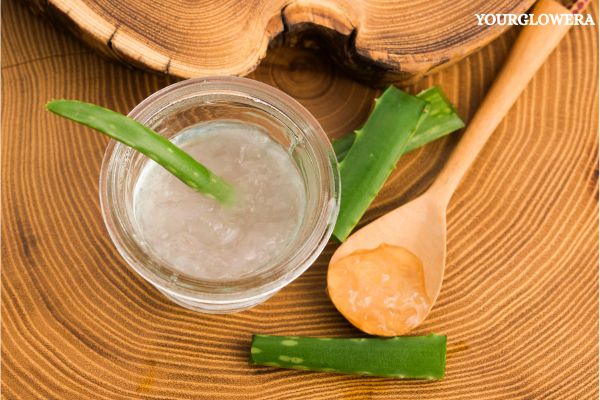 aloe vera moisturizer cream for face